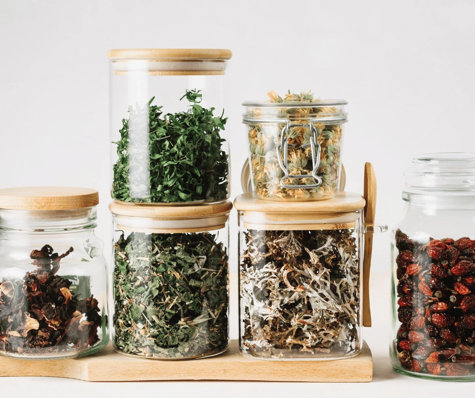 frascos de vidrio con distintas plantas disecadas