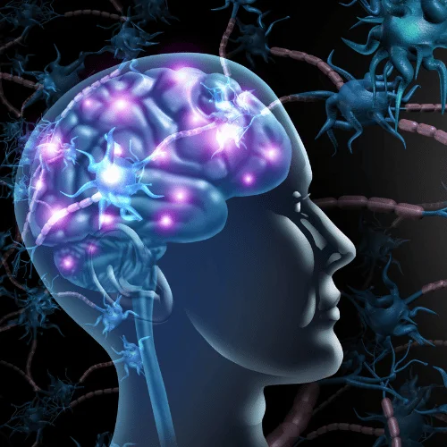 Estimulación NGF para salud cognitiva