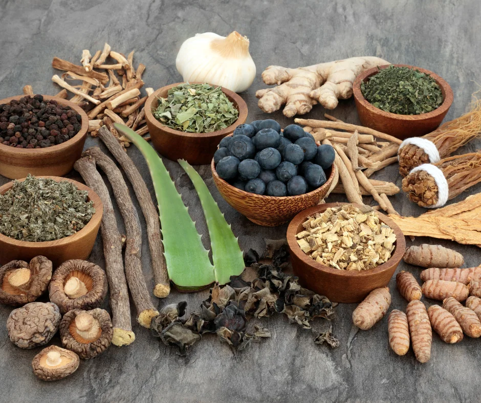 Distintas plantas usadas en la medicina natural